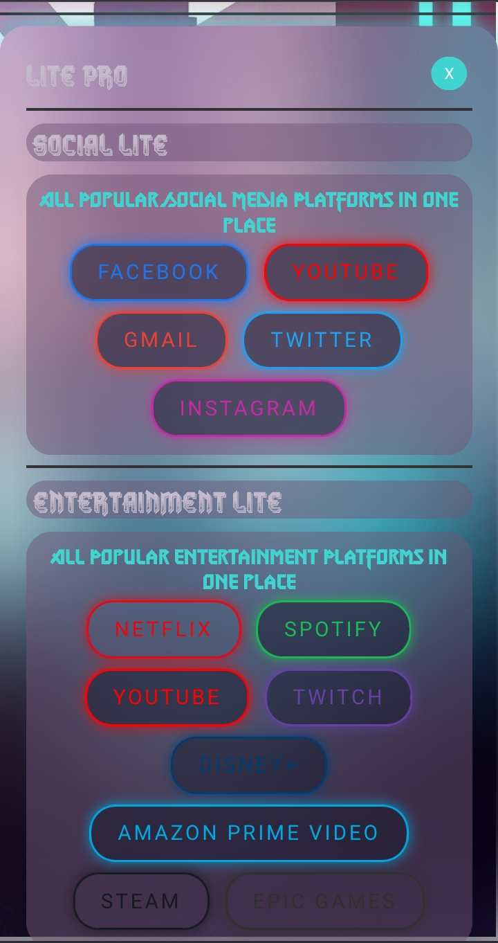 LitePro Application Screenshot